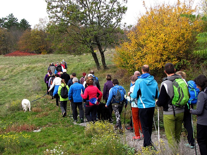 Voden pohod po Živem muzeju Krasa