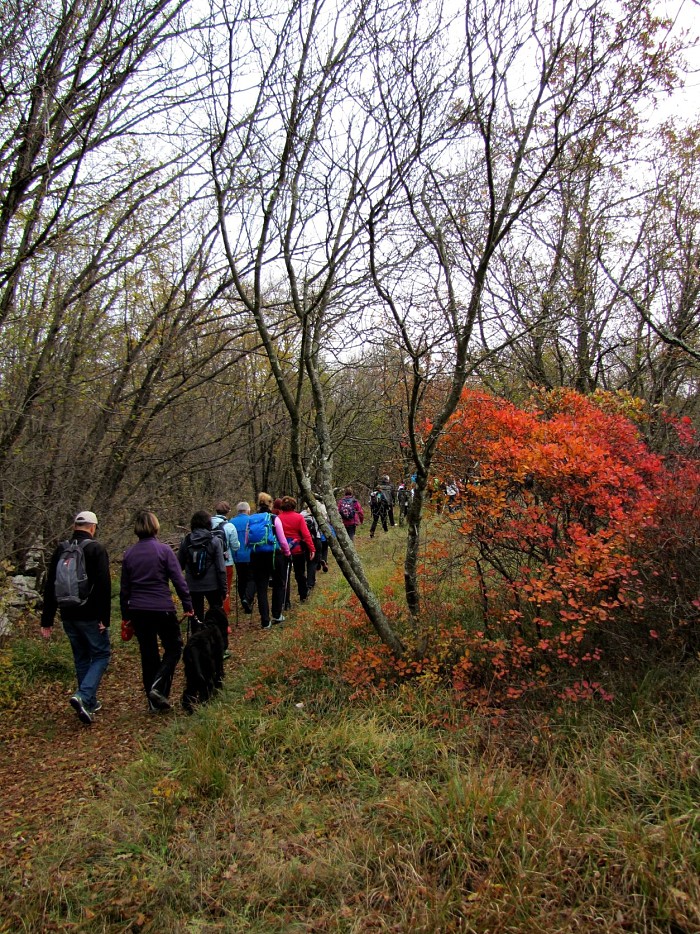 Voden pohod po Živem muzeju Krasa
