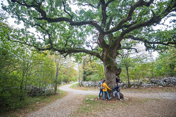 Voden pohod po Živem muzeju Krasa