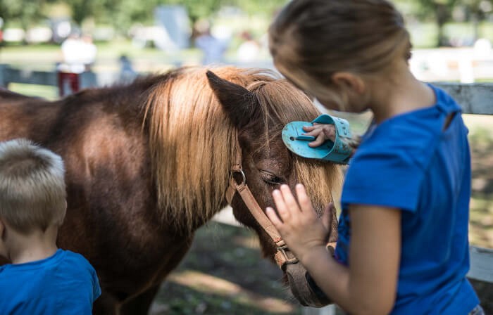 Otroško dogajanje v Kobilarni Lipica