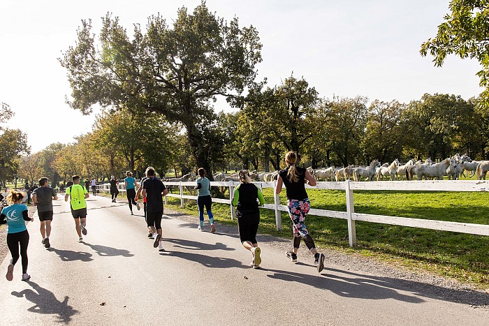 Navodila za udeležence - TEK